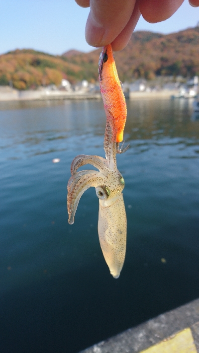 寒さにも負けず