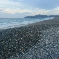 仁淀川河口サーフショアジギング