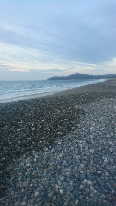 仁淀川河口サーフショアジギング