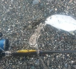 仁淀川河口サーフショアジギング