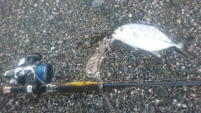 仁淀川河口サーフショアジギング