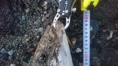 仁淀川河口ライトショアジギング