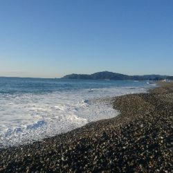 仁淀川河口サーフショアジギング