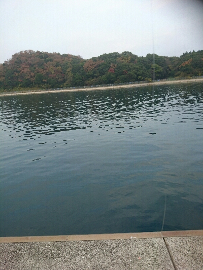 今日の釣果