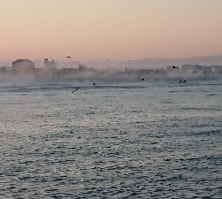 大時化の三国突堤にてシーバス