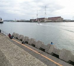 久々に青物の引きを堪能