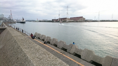 久々に青物の引きを堪能