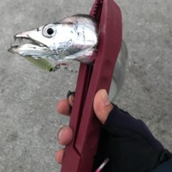 厳しい結果に…