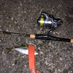 久々のアジング&メバリング