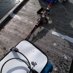 これが今年最後の海上釣堀