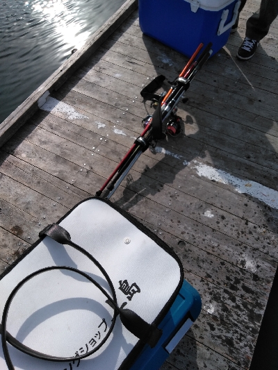 これが今年最後の海上釣堀