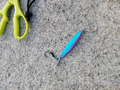 またサゴシ～(・ε・｀ )