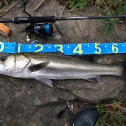 リバーシーバス最高です！