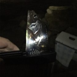 アタリ減ったなあ