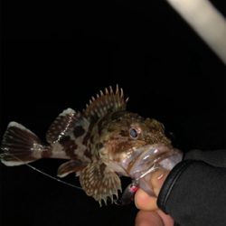 タチウオ坊主_:(´ཀ`」 ∠):