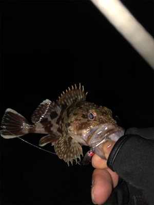 タチウオ坊主_:(´ཀ`」 ∠):