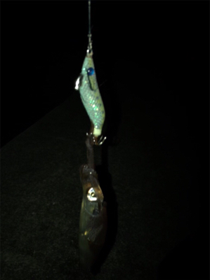 ヒイカ釣り初の1091モード＼(^^)／