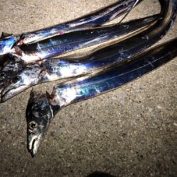 今宵もタッチーデート(^^)