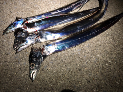 今宵もタッチーデート(^^)