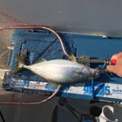 高波の中ジギング釣行