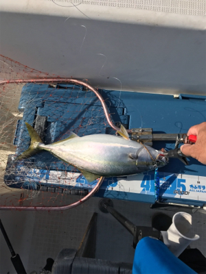 高波の中ジギング釣行