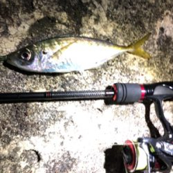 アジング＆ロックフィッシュ秋田港