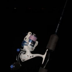 メバル狙い（ﾟдﾟlll）