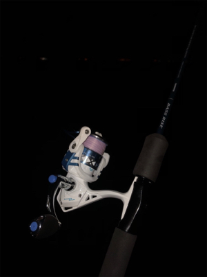 メバル狙い（ﾟдﾟlll）