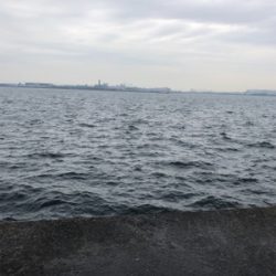 リベンジ タチウオ！