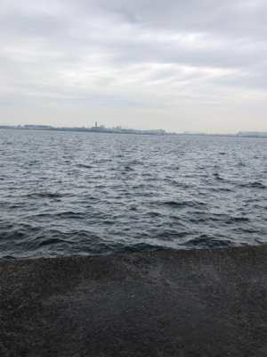 リベンジ タチウオ！