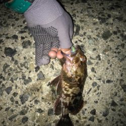 久しぶりの投稿