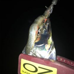 これから寂しくなりそう。