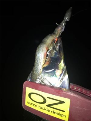 これから寂しくなりそう。