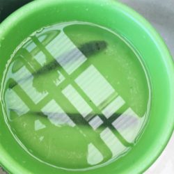 キスとハゼつり