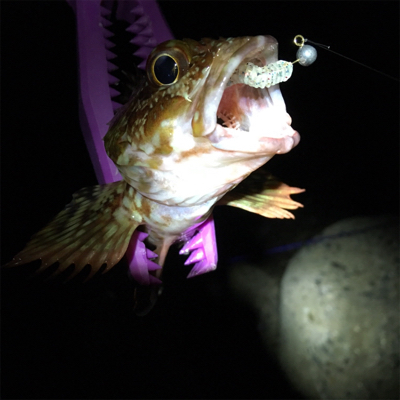 30分だけの寄り道アジング