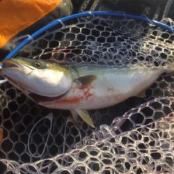 県南にて、カヤックフィッシング