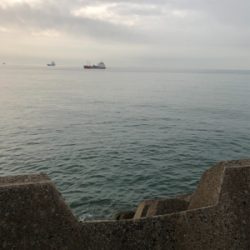 イワシカラーのミノーパターン