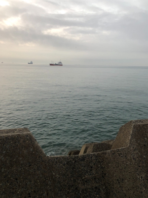 イワシカラーのミノーパターン