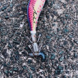 痛恨のバラシ（泣）