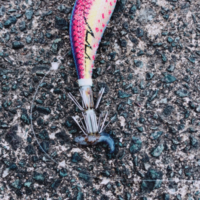 痛恨のバラシ（泣）