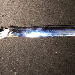 今宵はご機嫌斜め？