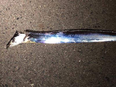 今宵はご機嫌斜め？