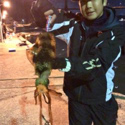 エギングで初イカ