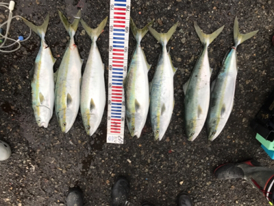 メジロ祭り復活祭 陸っぱり竿納編