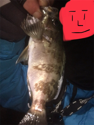 メバルのちタケノコ掘り