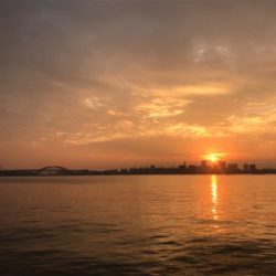 なんとか一本！！