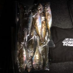 アジング バイク釣行の練習