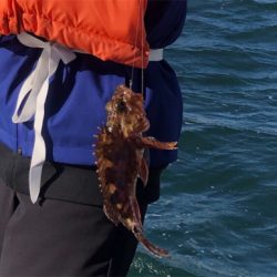 LSJ.アジング、船