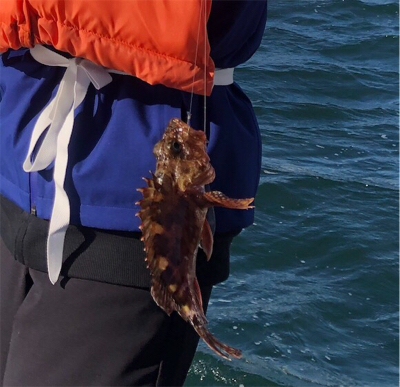 LSJ.アジング、船