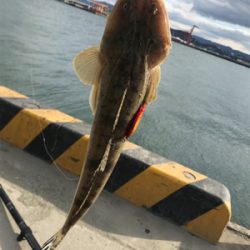 暴風でも釣れました